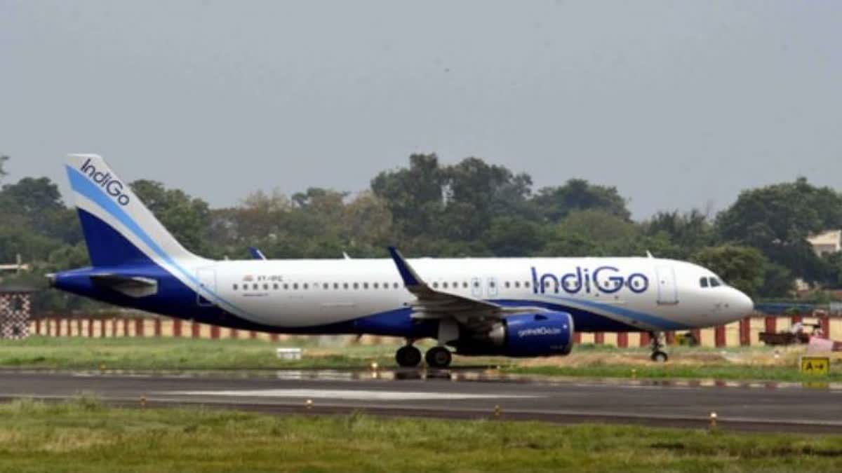 Indigo Flight