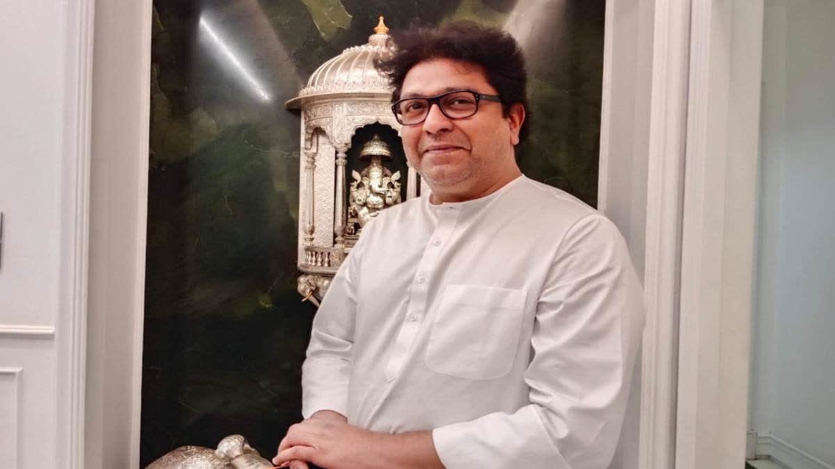 Raj Thackeray On Unemployment Issue