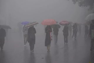 Rain updates in Kerala  സംസ്ഥാനത്ത് മഴ ശക്തം  യെല്ലോ അലര്‍ട്ട്  നാല് ജില്ലകളില്‍ ഇന്ന് യെല്ലോ അലര്‍ട്ട്  Heavy rain