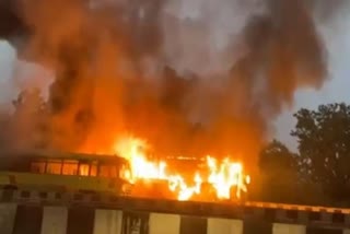Buses set fire
