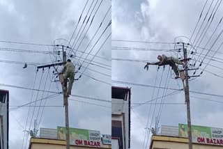 Powerman rescued a pigeon