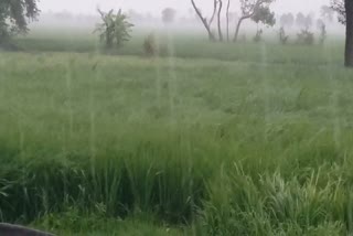 पटना में बारिश