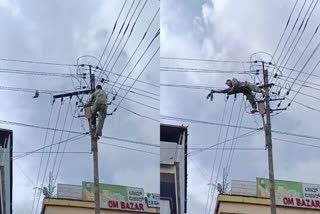 Lineman rescued pigeon