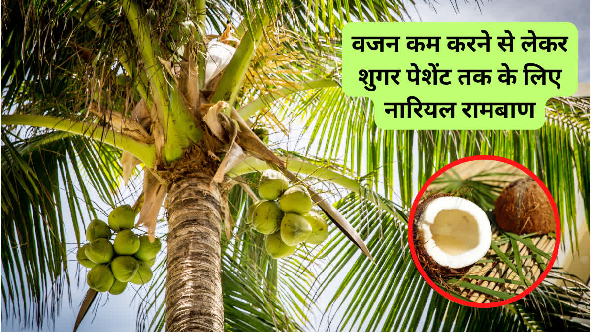 World Coconut Day 2024