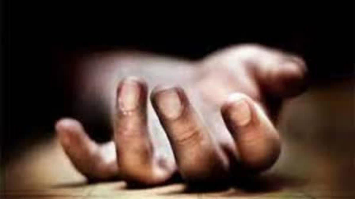 8 Dead As Techie And Housewife Kill Family Before Committing Suicide In Separate Incidents In Telangana