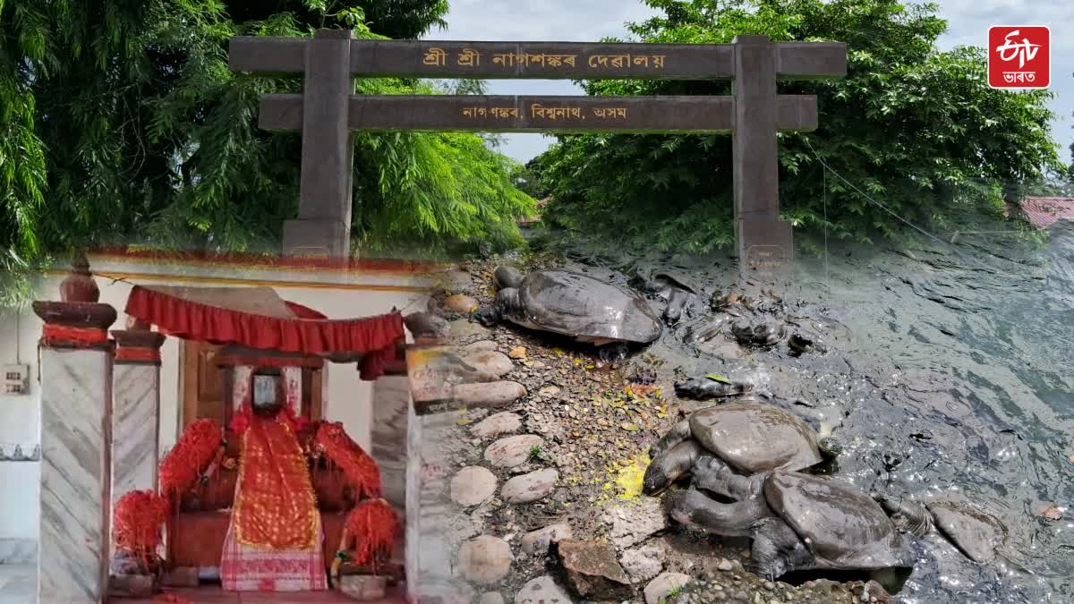 Historic Shiv temple in Assam