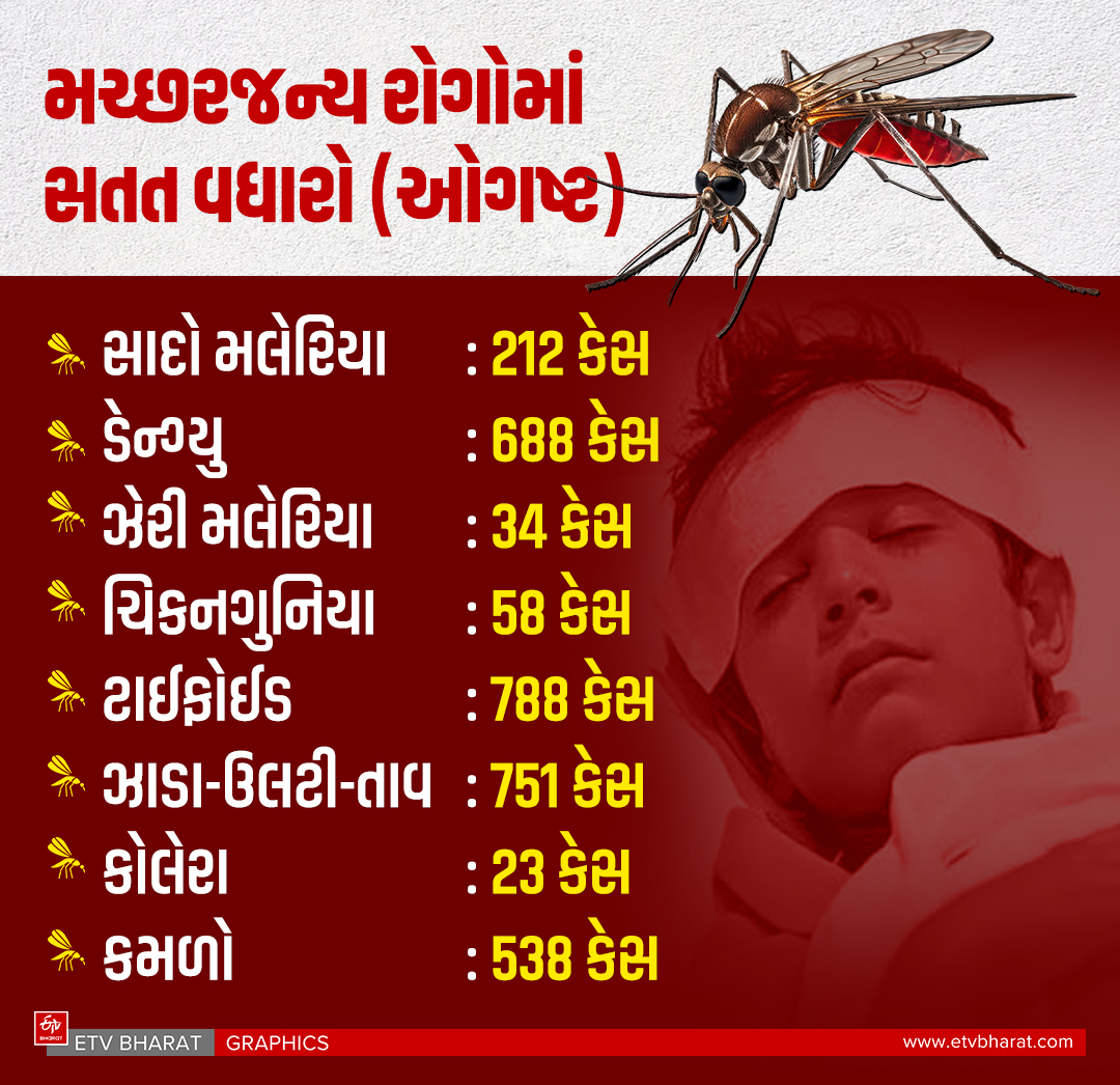 ઓગષ્ટ મહિનામાં મચ્છરજન્ય રોગોમાં સતત વધારો