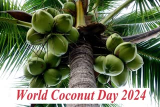 World Coconut Day 2024