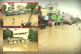 Heavy Rains and Floods in Andhra Pradesh