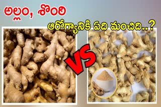 Fresh Ginger Vs Dried Ginger