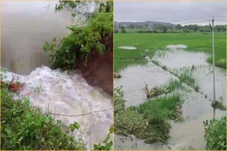 heavy Rains Floods In Medak