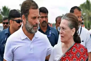 : A case has been registered against two people, including a Bangladeshi journalist, on the charge of spreading fake news on social media against senior Congress leader Sonia Gandhi and Lok Sabha Leader of Opposition Rahul Gandhi, police said.