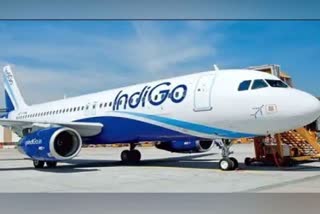 Indigo Airlines Fined For Flight Delays, 'Unethical' Ticket Rescheduling