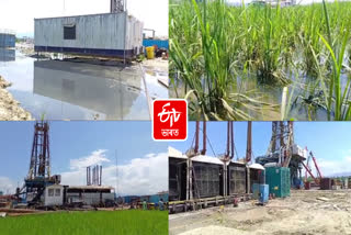 Chemical in paddy field