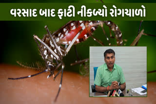 અમદાવાદમાં કુલ  688 ડેન્ગ્યુ કેસ નોંધાયા છે.