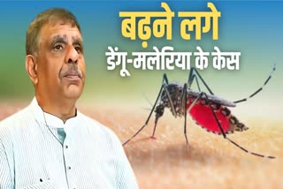 Dengue Malaria Case In Rajasthan