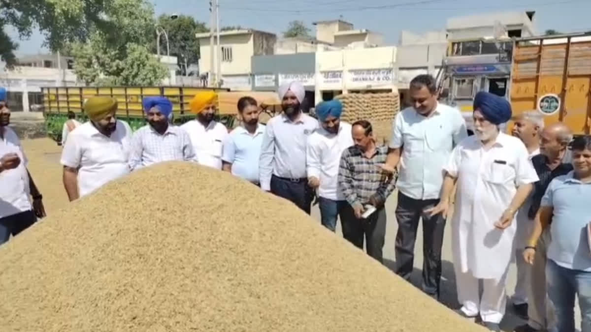 Government purchase of paddy has started in Punjab, started from October 1st in Khanna Dana Mandi