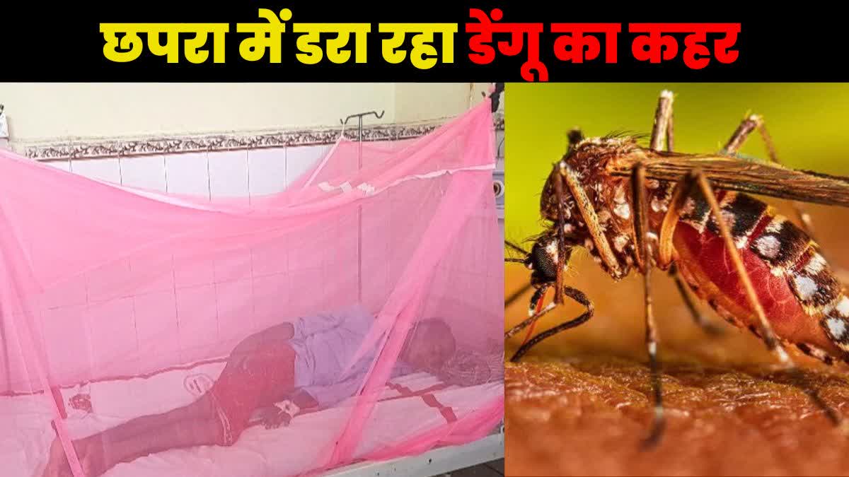 छपरा में डोंगू के मरीज