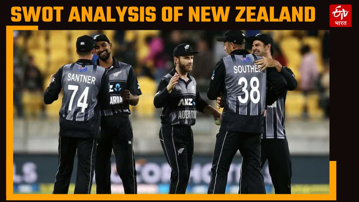 SWOT analysis of new zealand