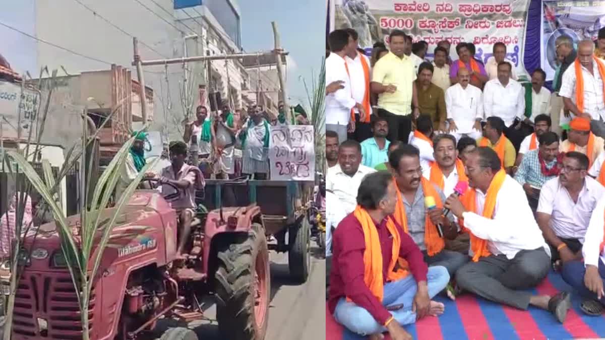 farmer-organizations-protested-in-mandya-for-cauvery-issue