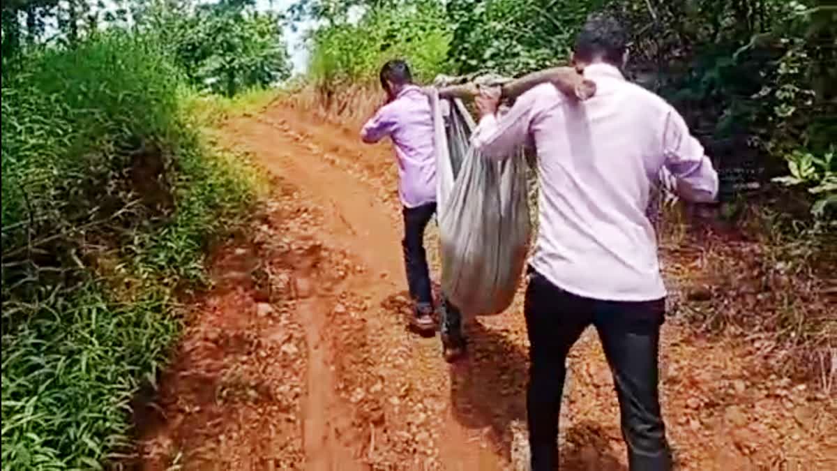 Etv Bharat Maharashtra Tribal Woman Delivers Baby  Eknath Shinde Adopted Village  Patikacha Pada  Thane Women Birth at Road  വഴിയോരത്ത് കുഞ്ഞിന് ജൻമം നൽകി ആദിവാസി യുവതി  ഏക്‌നാഥ് ഷിൻഡെ ദത്തെടുത്ത  പതികാച്ച പാട