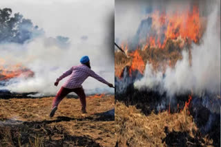 STUBBLE BURNING INCIDENTS ARE CONTINUOUSLY INCREASING IN PUNJAB AND HARYANA