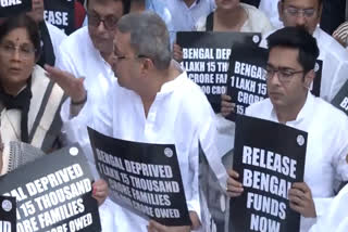 Trinamool Congress Protest at Rajghat