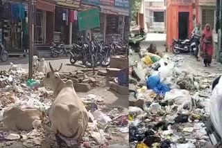 Swachh Bharat Abhiyan destroyed in Didwana