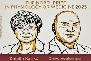 The 2023 Nobel Prize in Physiology or Medicine has been jointly awarded to Katalin Karikó and Drew Weissman for their discoveries concerning nucleoside base modifications that enabled the development of effective mRNA vaccines against COVID-19.