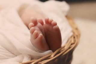 new born babies deaths maharashtra