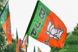 BJP Candidates List Final In Chhattisgarh