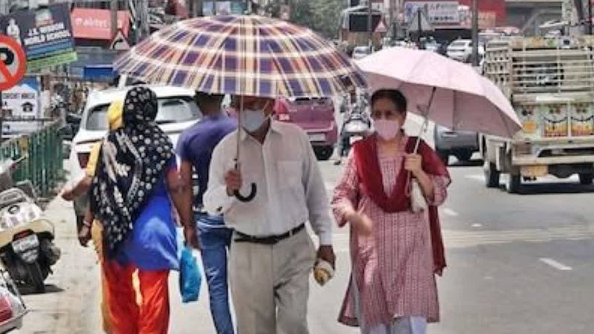 Monsoon in Haryana