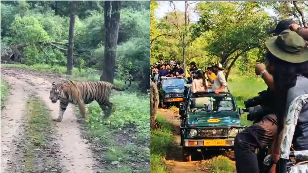 KANHA NATIONAL PARK