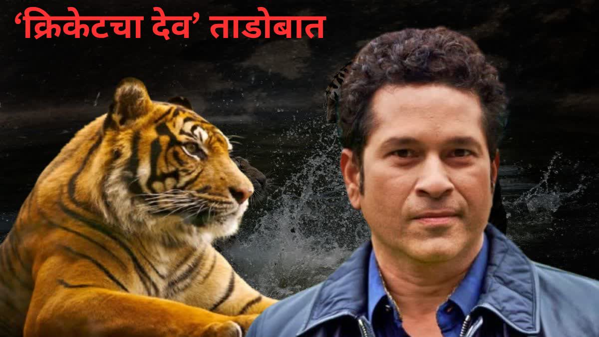 Sachin Tendulkar Visit To Tadoba