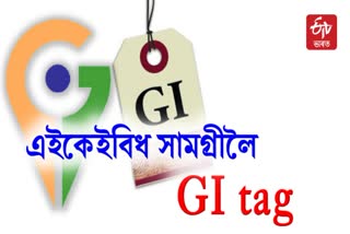 GI tags