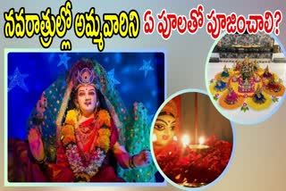 Devi Navaratri 2024 in Telugu