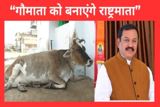 COW SACRED IN SANATAN DHARMA