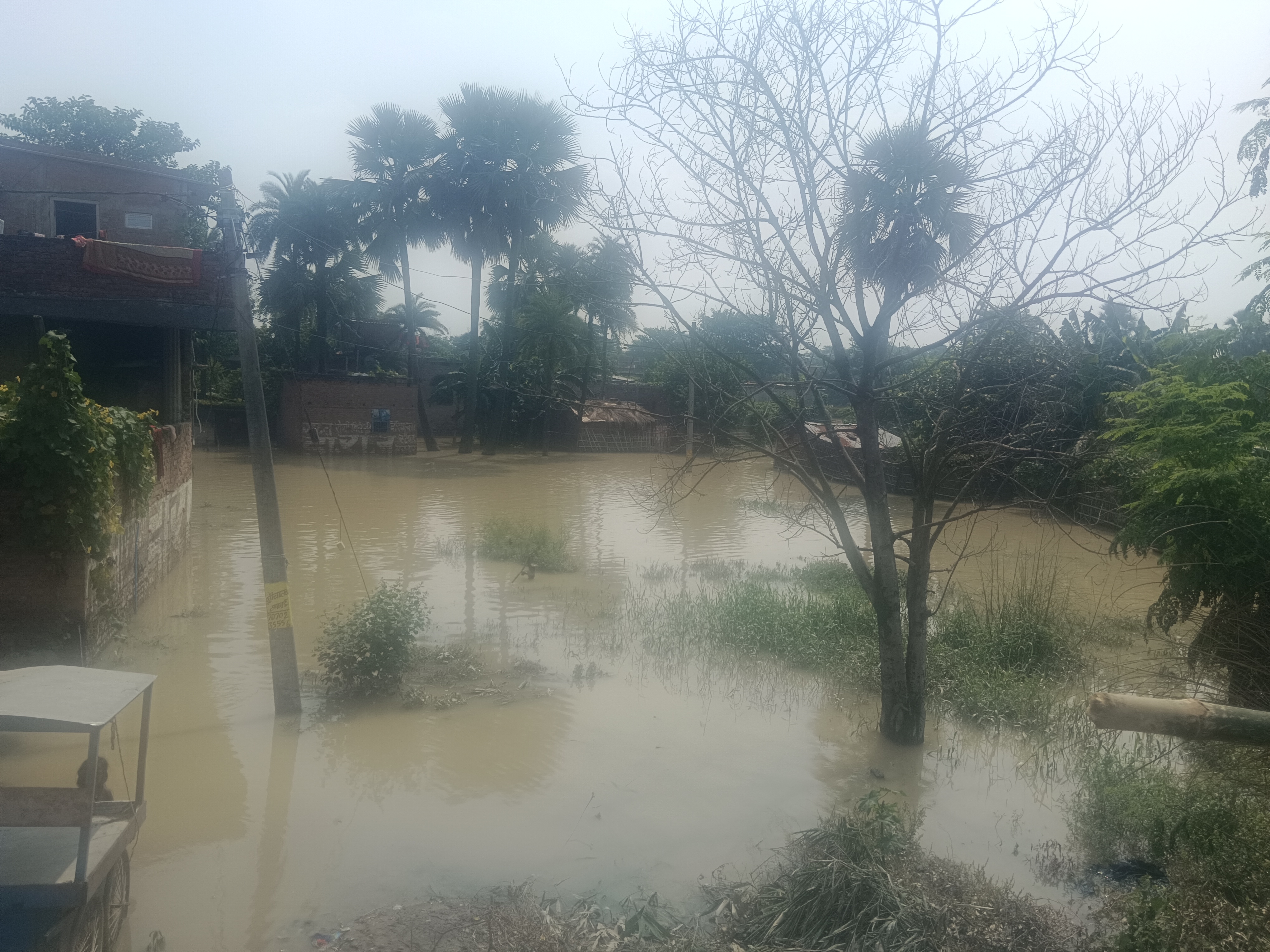 Bihar Flood