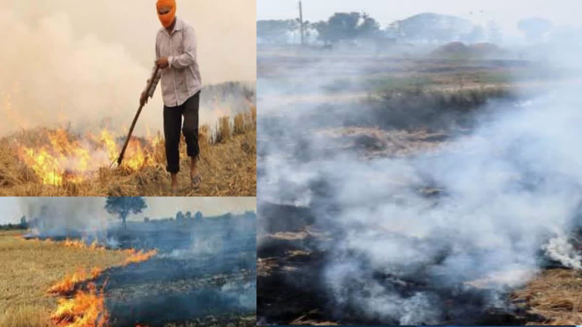 Record increase in cases of stubble burning in Punjab