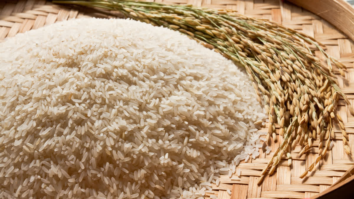 Decline in Rice Production