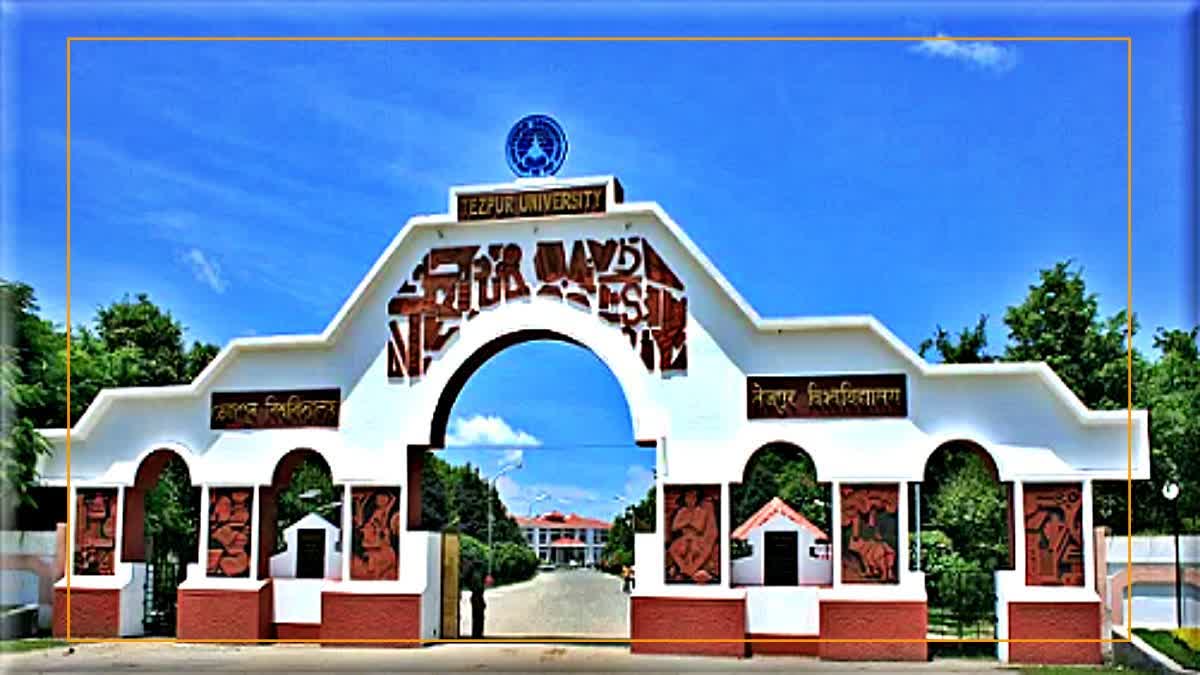 Tezpur University Faculty