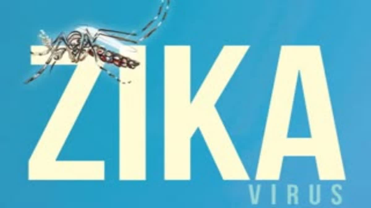 infections Zika virus