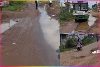 People_Facing_Problems_with_Damaged_Roads