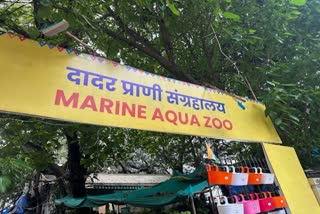 Marine Aqua Zoo
