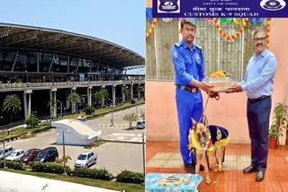Sniffer dog 'Irina' receives farewell by Chennai customs department