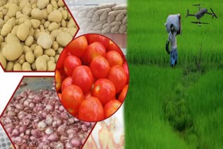 prices of essential agricultural commodities rise