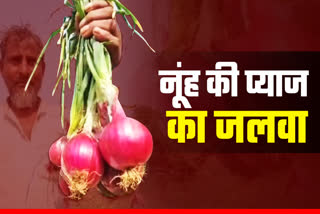 Onion Cultivation in Nuh