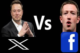 Elon Musk offers Mark Zuckerberg