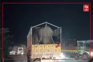 Assam elephant rescued in Arunachal Pradesh