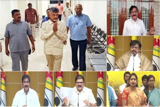 _tdp_allegations_on_jagan